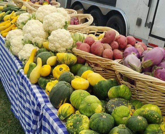 squash, potatoes, eggplant and cauliflower at a booth at a farmers market